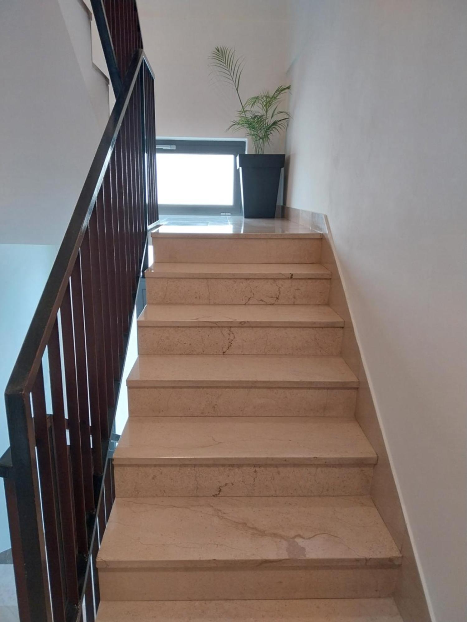 Apartments Rose Loboja ماكارسكا المظهر الخارجي الصورة