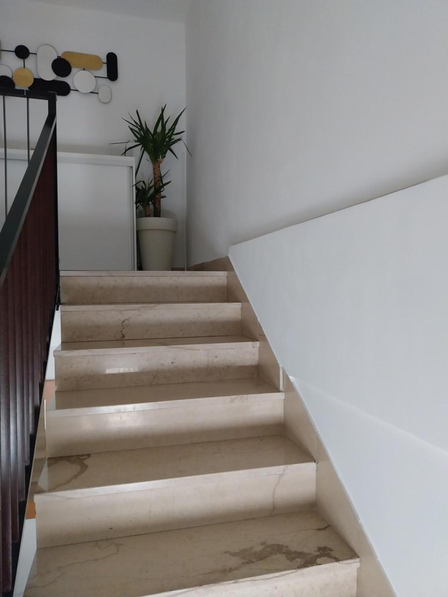 Apartments Rose Loboja ماكارسكا المظهر الخارجي الصورة